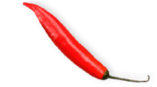 chilli5